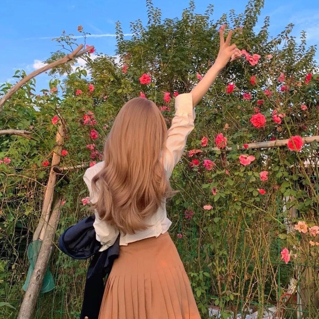 仙人掌花